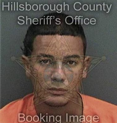 Dylan Scott, - Hillsborough County, FL 