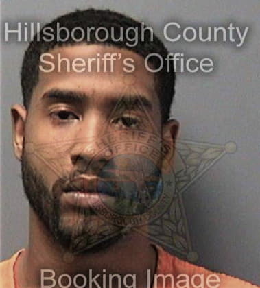 Paul Williams, - Hillsborough County, FL 