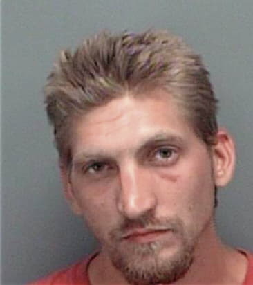 Michael Anthony, - Pinellas County, FL 