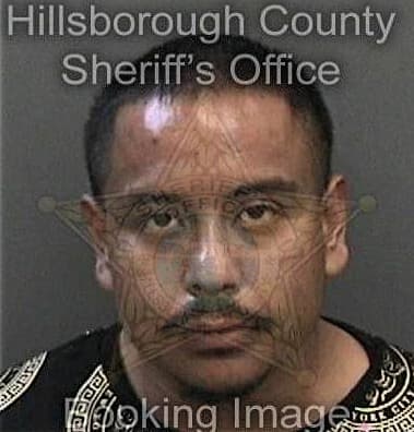 Marc Castano, - Hillsborough County, FL 