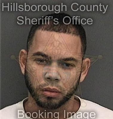 Michael Cribbs, - Hillsborough County, FL 