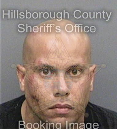 Ernesto Diazperez, - Hillsborough County, FL 