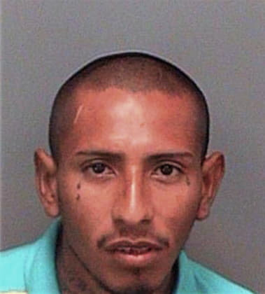 Ernest Gonzalez, - Pinellas County, FL 