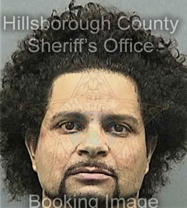 Alexander Guevarez, - Hillsborough County, FL 