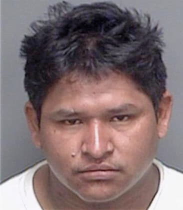 Wilfrido Juarez, - Pinellas County, FL 