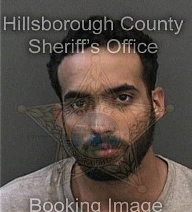 Jonathan Lewis, - Hillsborough County, FL 