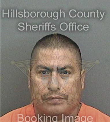 Joshua Miranda - Hillsborough County, FL 