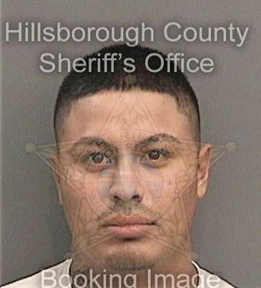 Alfredo Perez, - Hillsborough County, FL 