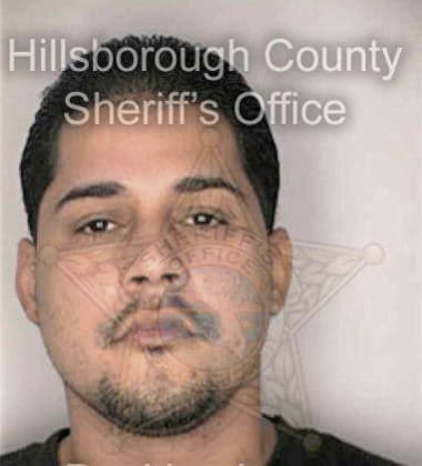 Dominick Ramirez, - Hillsborough County, FL 