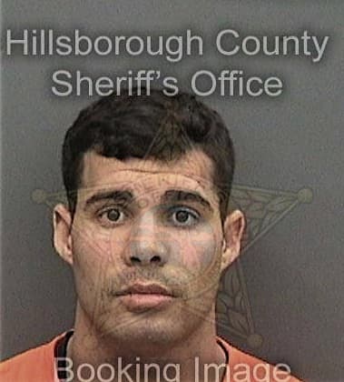 Alberto Vigo, - Hillsborough County, FL 