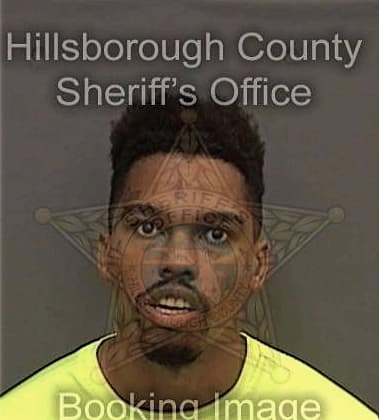 Lamont Young, - Hillsborough County, FL 