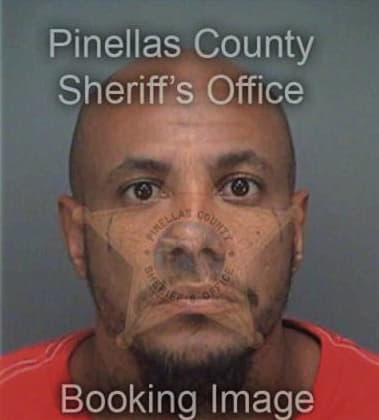 Dnico Adams, - Pinellas County, FL 