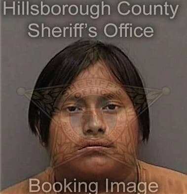 Fatmir Alija, - Hillsborough County, FL 