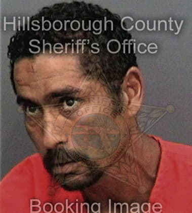 Jesse Chesnut - Hillsborough County, FL 