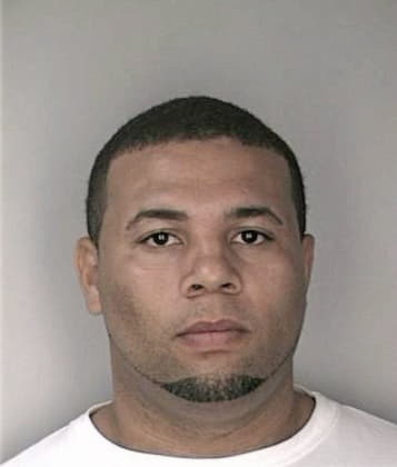 Paulino Hernandez - Hillsborough County, FL 