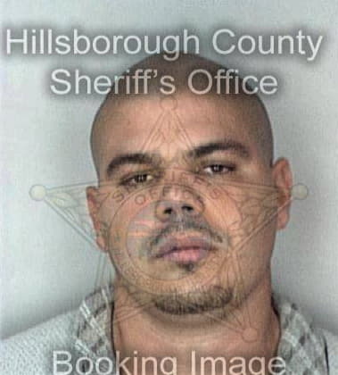 Michael Messano - Hillsborough County, FL 