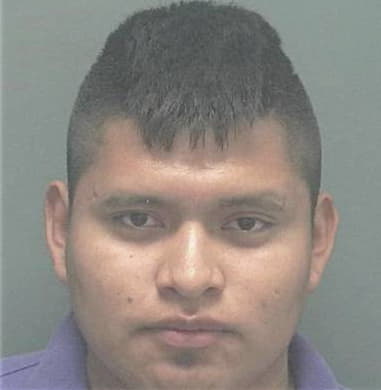 Gabriel Torres, - Lee County, FL 