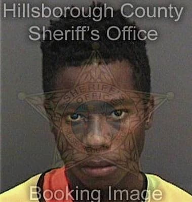 Eric Blue - Hillsborough County, FL 