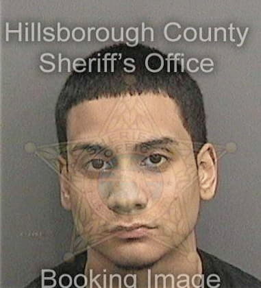 Allan Bravo - Hillsborough County, FL 