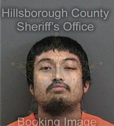 Michael Buscemi, - Hillsborough County, FL 