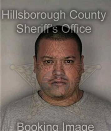 Luis Guzman, - Hillsborough County, FL 