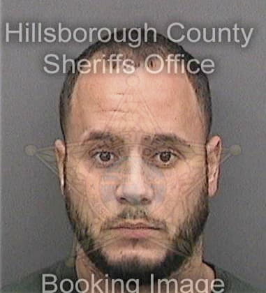 Reinier Pereztorres, - Hillsborough County, FL 