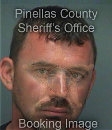 Joshua Lyons, - Pinellas County, FL 