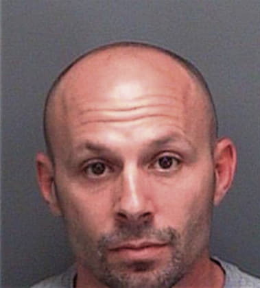 Michael Odea, - Pinellas County, FL 