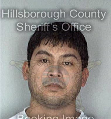 John Pallino, - Hillsborough County, FL 