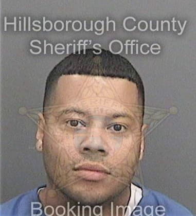 Raymond Scott, - Hillsborough County, FL 