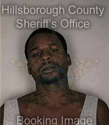 Stephen White - Hillsborough County, FL 