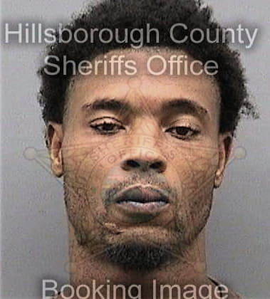 Gabriel Williams, - Hillsborough County, FL 