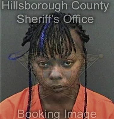 Mikeondra Ammons, - Hillsborough County, FL 