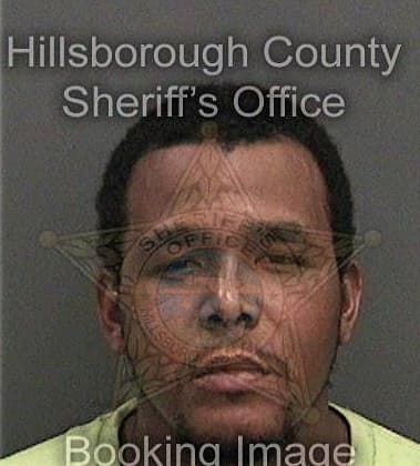 Kaarl Brandon - Hillsborough County, FL 