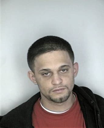 Reynaldo Garciacruz, - Hillsborough County, FL 