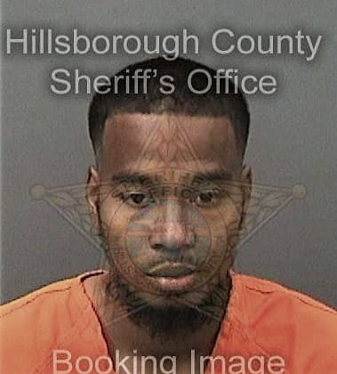 Abdulrahman Hussein, - Hillsborough County, FL 