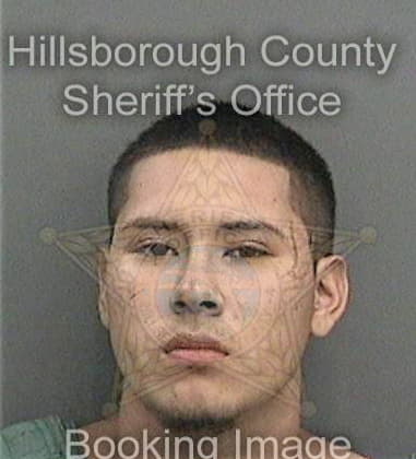 Timothy Russell, - Hillsborough County, FL 