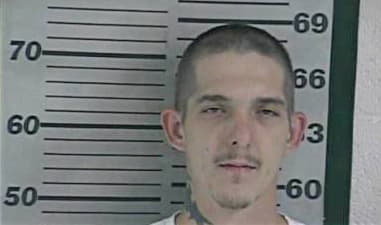 Bradley Simmons, - Dyer County, TN 