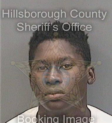 Timothy Young, - Hillsborough County, FL 