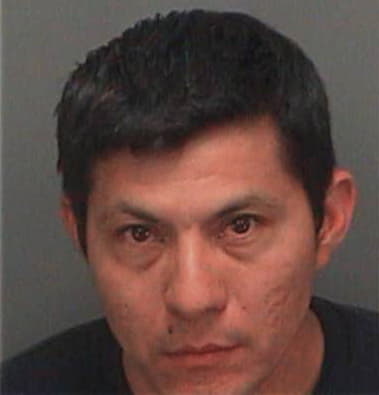 Ramon Antonino, - Pinellas County, FL 