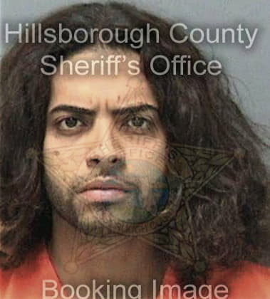 Carlos Barreras, - Hillsborough County, FL 