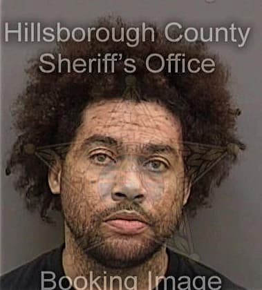 Ryan Brooks, - Hillsborough County, FL 