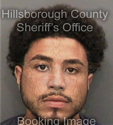 Deandre George, - Hillsborough County, FL 