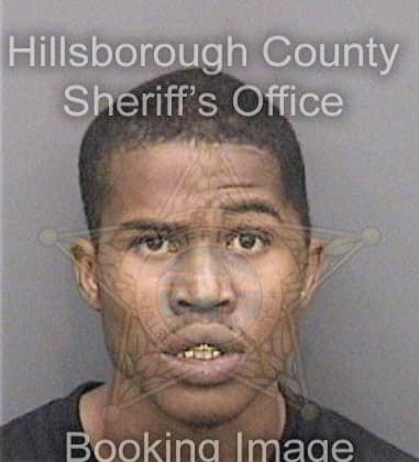 Dorian Hamilton, - Hillsborough County, FL 