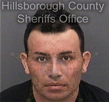 Brian Negrete, - Hillsborough County, FL 