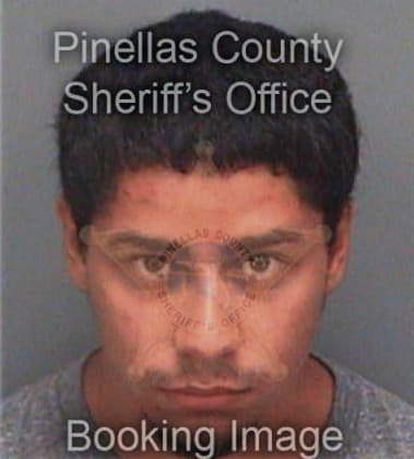 Lajuan Pulliam, - Pinellas County, FL 