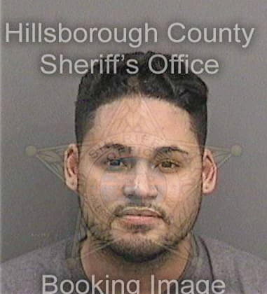 Charles Wagner, - Hillsborough County, FL 