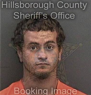 Anthony Williams - Hillsborough County, FL 