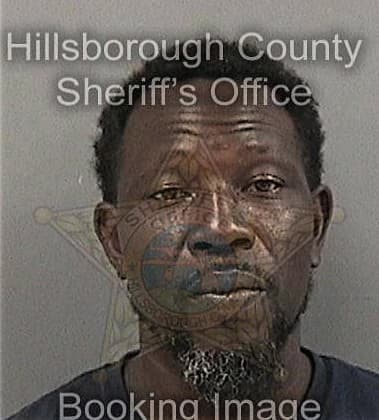 Deandre Williams, - Hillsborough County, FL 