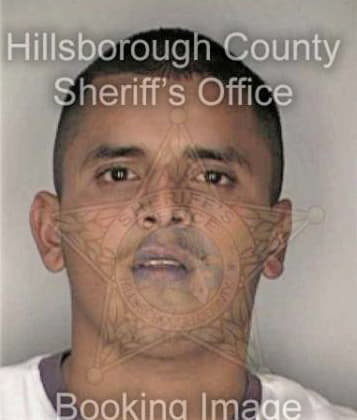 Joseph Ambrosino, - Hillsborough County, FL 